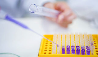 РОСНАНО займется лекарством от старости РОСНАНО займется лекарством от старости