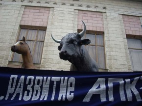 На развитие села дадут полтора миллиарда рублей