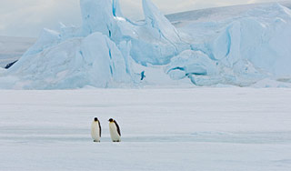 Гигантский айсберг угрожает Земле Гигантский айсберг угрожает Земле