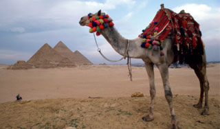 В Египте нашли древний фастфуд В Египте нашли древний фастфуд