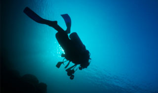 На дне Черного моря зажгли огонь Сочи-2014 На дне Черного моря зажгли огонь Сочи-2014