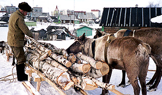 Оленеводы разгромили жилой дом Оленеводы разгромили жилой дом