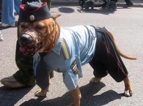 Брянские милиционеры пожаловались Президенту