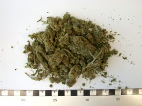 Отца пятерых детей арестовали за контрабанду марихуаны