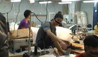 В Подмосковье спасли 30 рабов из Вьетнама В Подмосковье спасли 30 рабов из Вьетнама