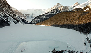 Олимпийский снег продают с аукциона Олимпийский снег продают с аукциона