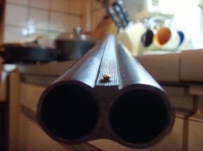 В Фокинском районе мужчина стрелял по прохожим с балкона