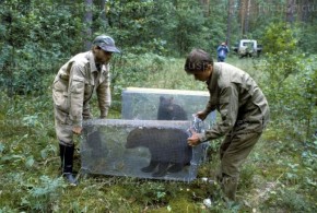 Именем инвестора