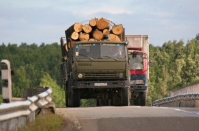 Топорная работа