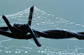 В Карачеве осудили братоубийцу