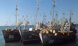 Кипрские суда переходят под флаг России Кипрские суда переходят под флаг России