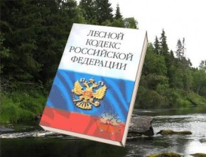 В Мглинском районе нарушали лесное законодательство