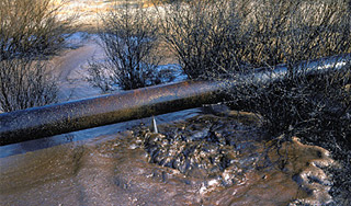 Мазут оставил жителей Находки без воды Мазут оставил жителей Находки без воды