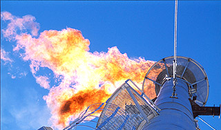 Россия нашла газового союзника на Ямале Россия нашла газового союзника на Ямале