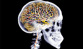 Звуковые пули помогут победить рак Звуковые пули помогут победить рак