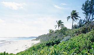 Названы лучшие экологические маршруты Названы лучшие экологические маршруты