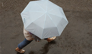 На Москву надвигаются "черемуховые холода" На Москву надвигаются "черемуховые холода"