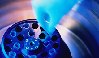 В США выращивают бессмертных солдат В США выращивают бессмертных солдат