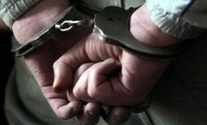 Экс-сотрудницу конного полка ГУВД осудили на семь месяцев