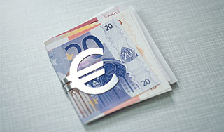 Падение евро станет уроком для России Падение евро станет уроком для России