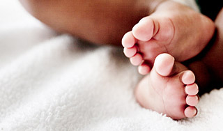 В морозилке на таможне нашли труп младенца В морозилке на таможне нашли труп младенца