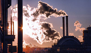 Бизнес обяжут возмещать вред природе Бизнес обяжут возмещать вред природе