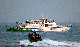 На "флотилии мира" нашли наемников На "флотилии мира" нашли наемников