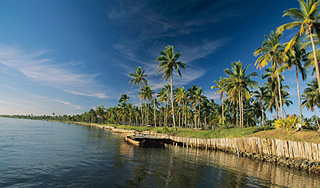 Россияне поедут отдыхать в Бразилию без виз Россияне поедут отдыхать в Бразилию без виз