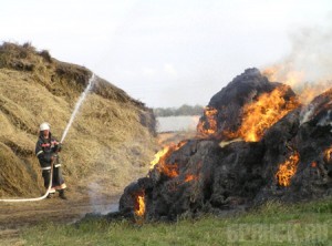 В Петуховке сгорело полторы тонны сена