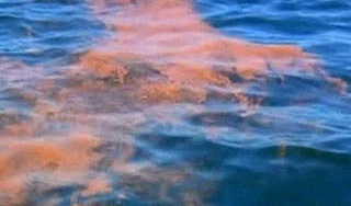 BP подсчиталa ущерб от разлива нефти BP подсчиталa ущерб от разлива нефти