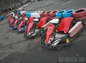 Девушка чудом выжила после катания на картинге