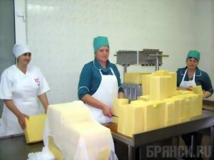 В Красной Горе наладят производство сыра фета