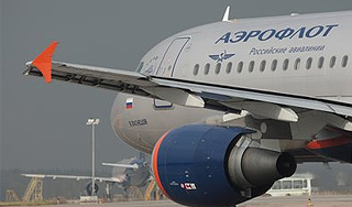 Самолет из Москвы врезался в косулю Самолет из Москвы врезался в косулю