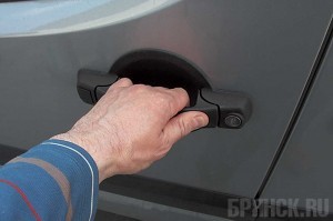 Гастролера из Брянска задержали в Курске