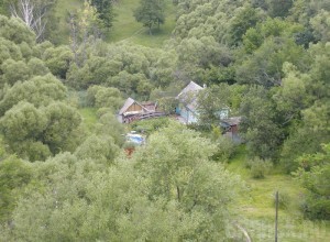 У Брянска вырежут «легкие»?