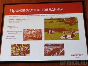 Крупный инвестор обещает возродить мясное скотоводство