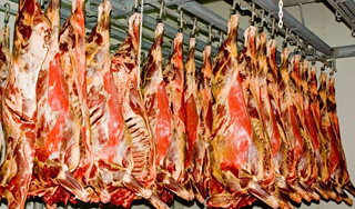 Россия запретила ввоз мяса из Казахстана Россия запретила ввоз мяса из Казахстана