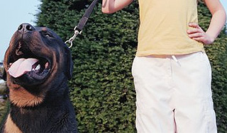 Девушка с собакой напала на спортсмена Девушка с собакой напала на спортсмена