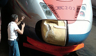 Скоростной поезд "Сапсан" раздавил дачницу Скоростной поезд "Сапсан" раздавил дачницу