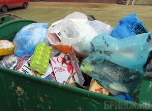 Утилизацией отходов займутся немцы