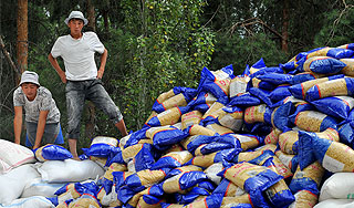 Часть помощи Киргизии оказалась испорчена Часть помощи Киргизии оказалась испорчена