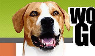 Собака претендует на пост губернатора штата Собака претендует на пост губернатора штата