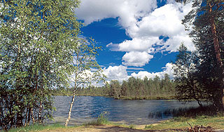 Юноша погиб после ссоры на поле клубники Юноша погиб после ссоры на поле клубники