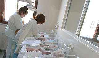 В Москве родились Саммерсет и Лука-Счастье В Москве родились Саммерсет и Лука-Счастье