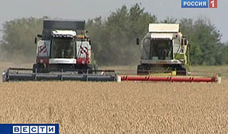 В Курганской области из-за засухи ввели ЧС В Курганской области из-за засухи ввели ЧС