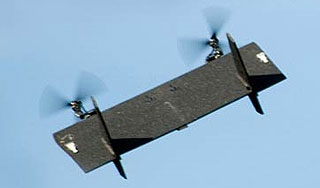 США замаскировали беспилотник под голубя США замаскировали беспилотник под голубя