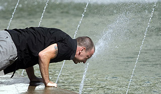 Найдены способы спасения от жары Найдены способы спасения от жары