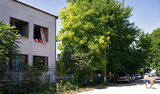 В "Азове" к детям в палату селили взрослых В "Азове" к детям в палату селили взрослых