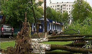 Ураган обошелся Москве в миллион долларов Ураган обошелся Москве в миллион долларов