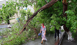 Ураган свалил дерево на автобус с людьми Ураган свалил дерево на автобус с людьми